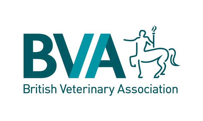 British Veterinary Association responds to ban on keeping primates as pets Image