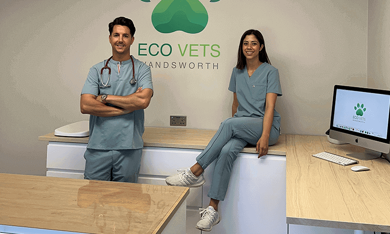 Eco Vets: Sustainability at the heart of the practice  Listing Image