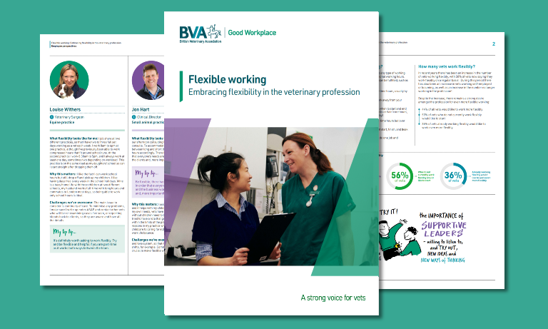 Flexible working: Embracing flexibility in the veterinary profession Listing Image