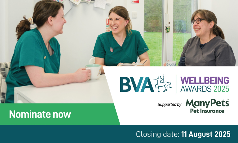 Nominations open for BVA Wellbeing Awards 2025 Image