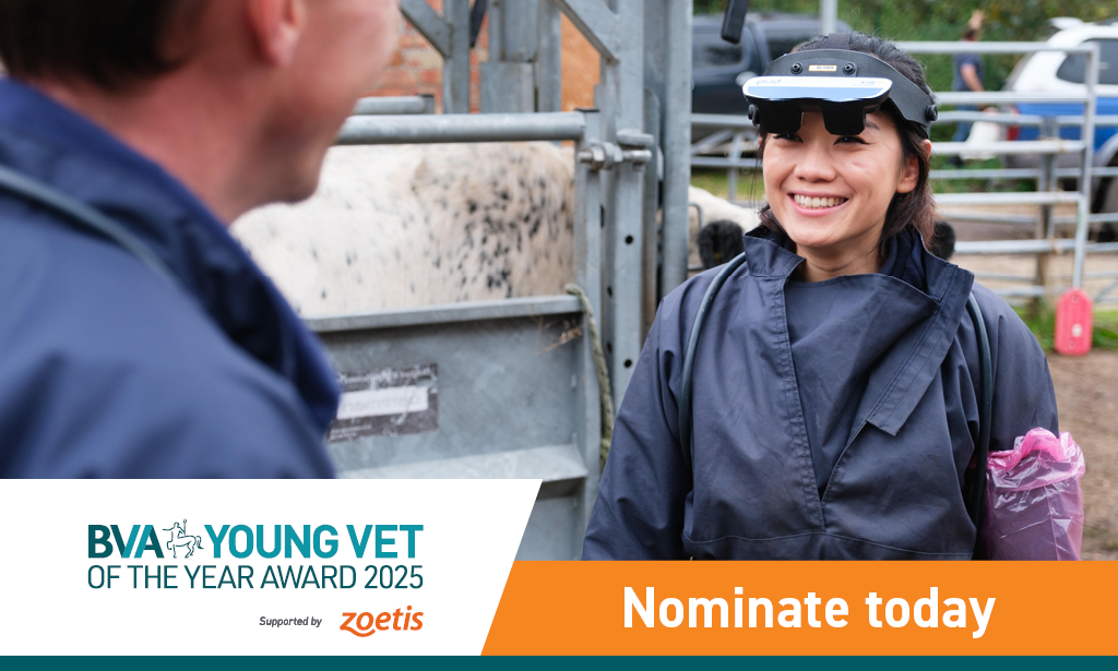 The search is on for the next BVA Young Vet of the Year Image