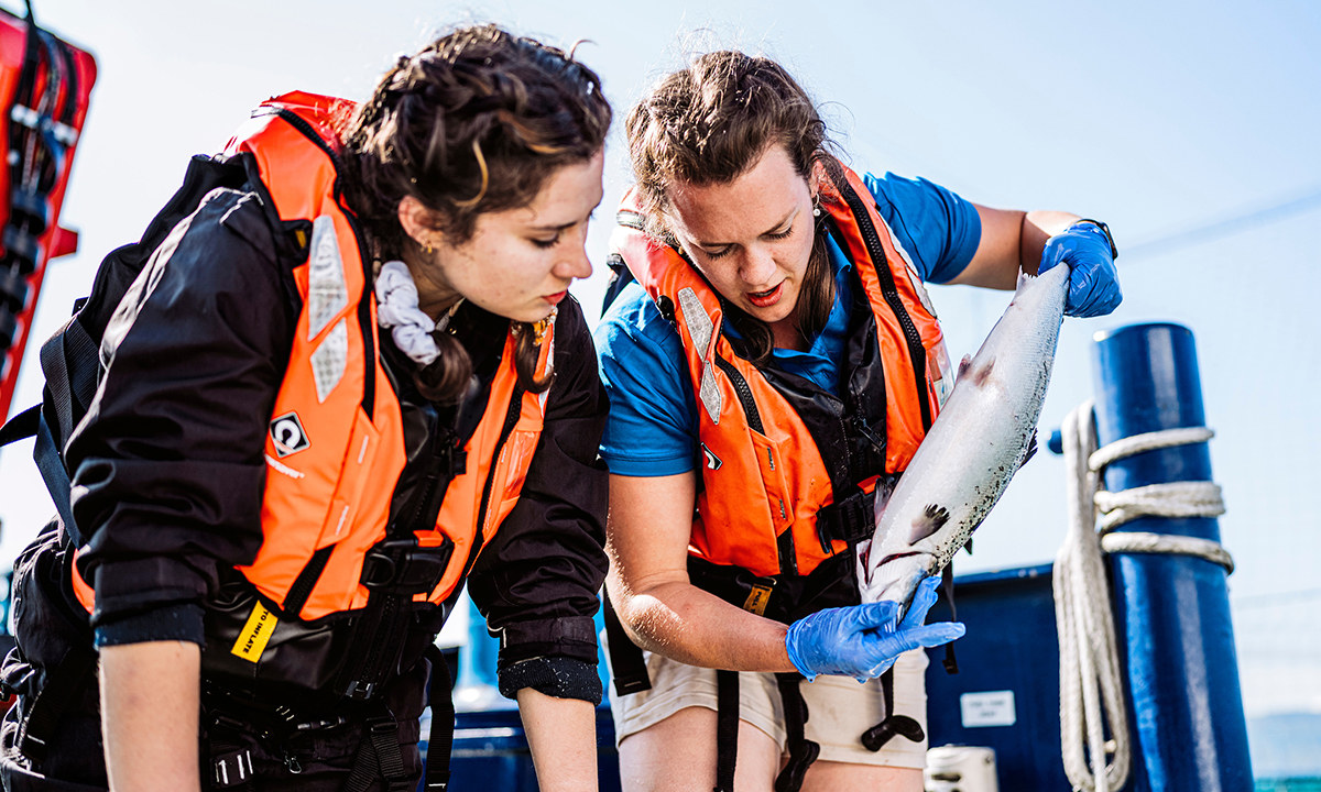 Get them the recognition they deserve: a young vet's experience in aquaculture Image