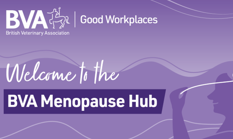  #TimeForChange: BVA launches new menopause hub to support members and help keep highly-skilled vets in the profession Image