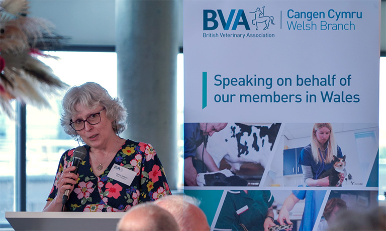 BVA continues to call for vet practice regulation in Wales Image