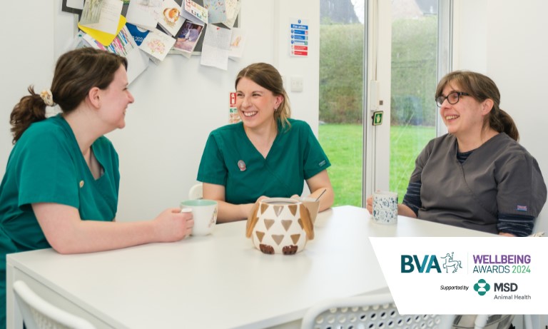 BVA Wellbeing Awards open for nominations Image