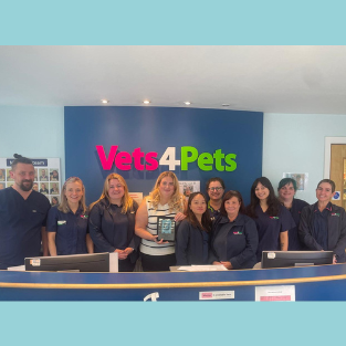 Vets for Pets Bearsden Image