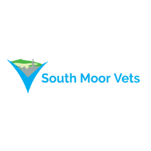 South Moor Vets Image