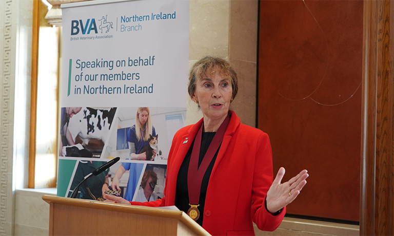 British Veterinary Association vows to continue fight to secure vet medicines in Northern Ireland  Image