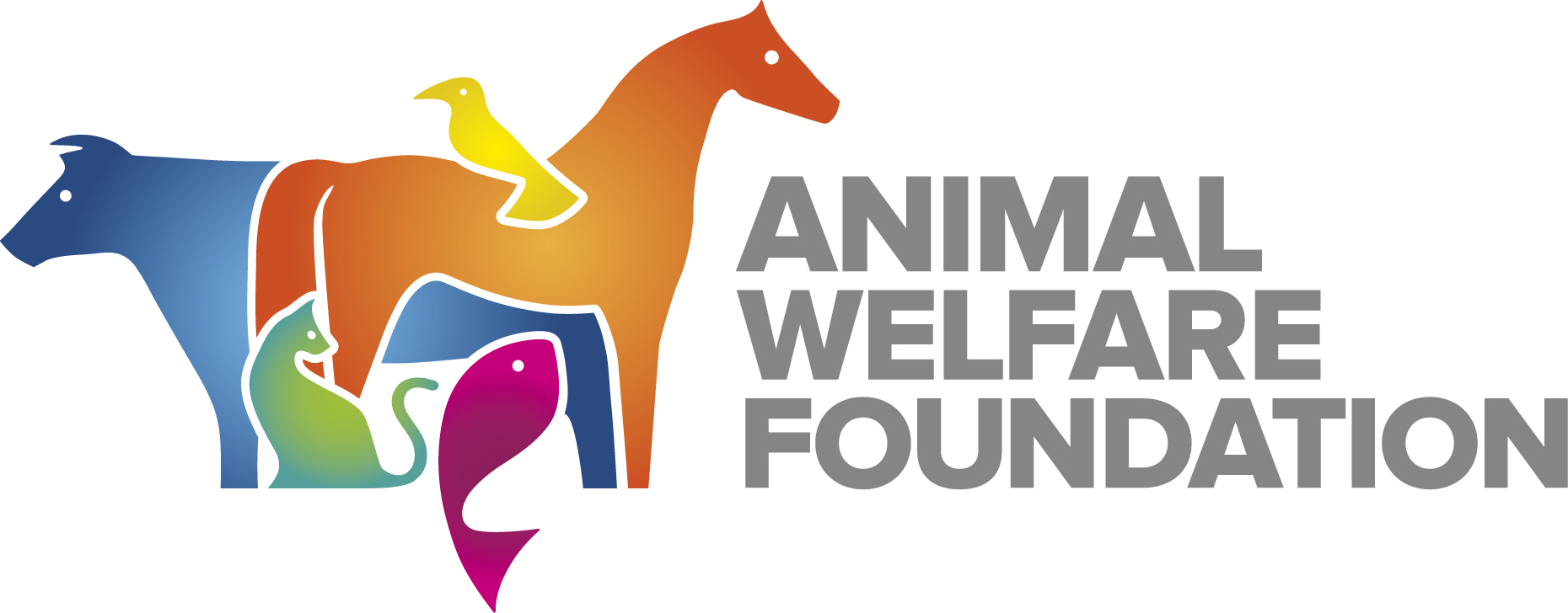 Grant applications open for student research projects to improve animal welfare Image