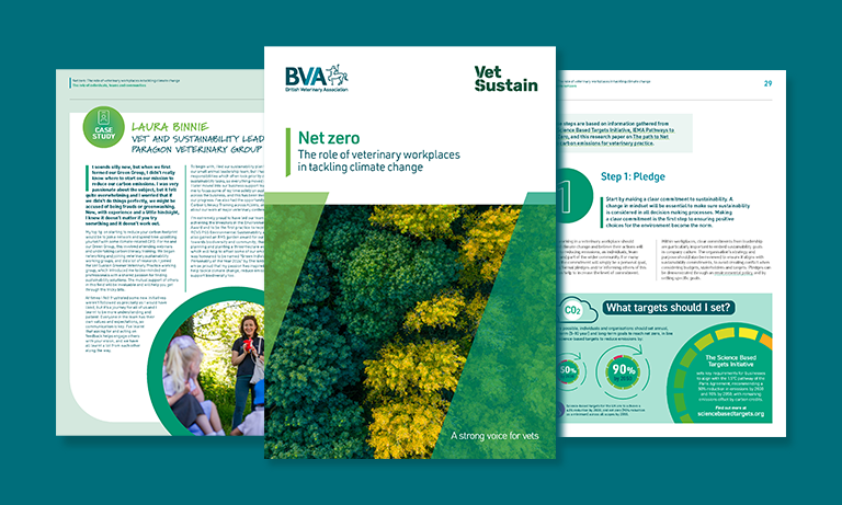 New report to help the veterinary profession be more sustainable and play its role in the UK’s race to net zero  Listing Image