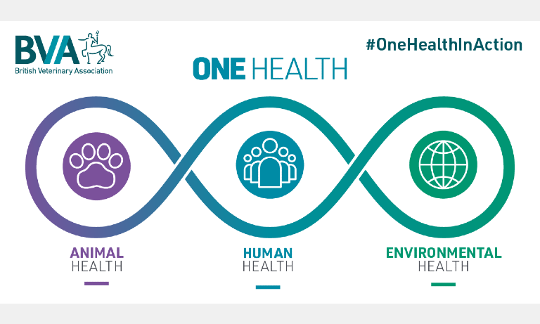 Sustainable healthcare: a human doctor’s call for One Health working   Image