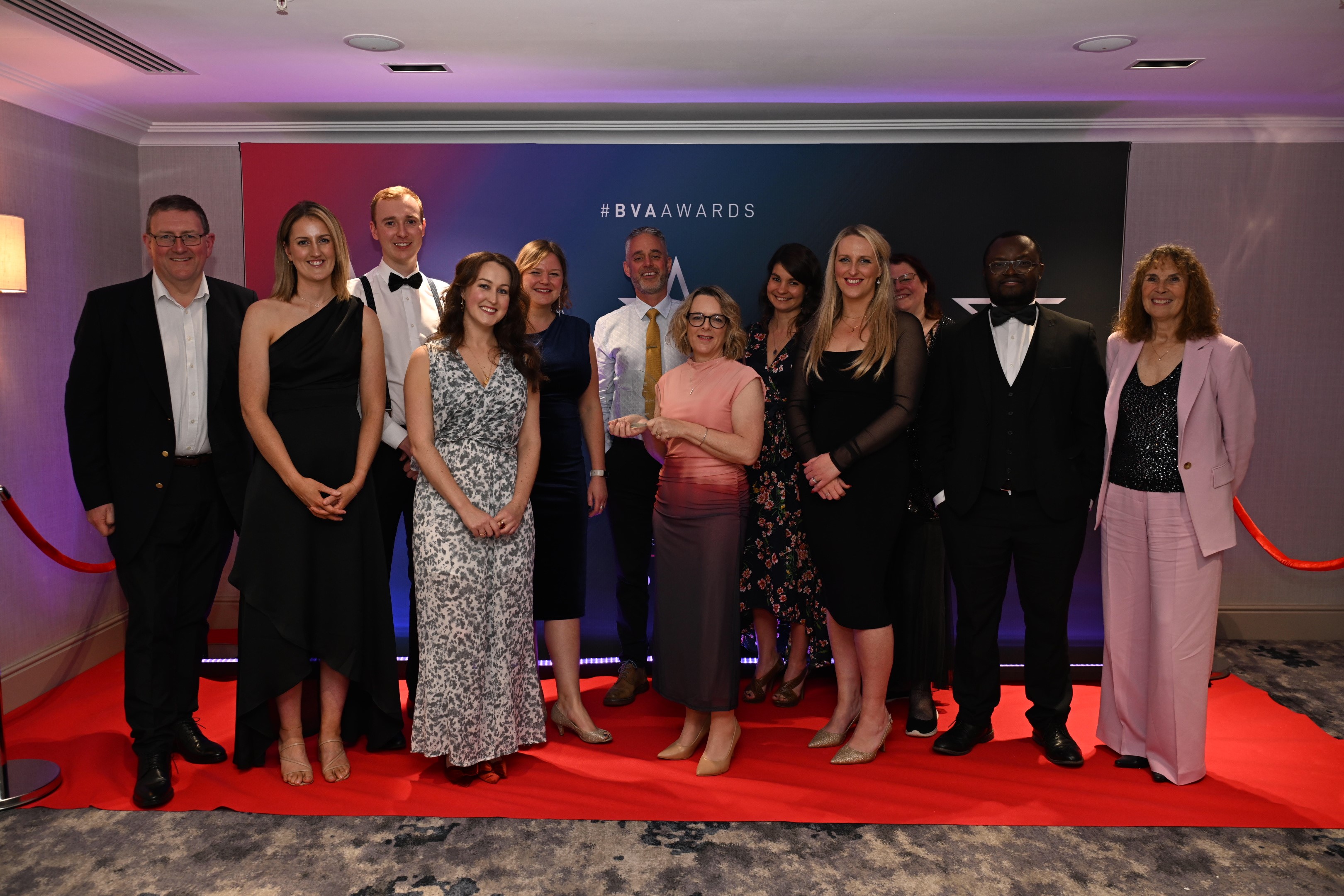 BVA’s 2024 Wellbeing Award winners unveiled Image