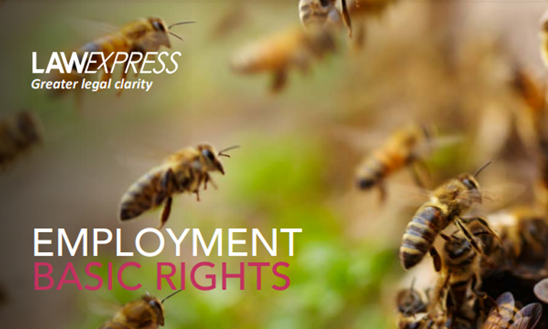 Employment law: basic rights Listing Image