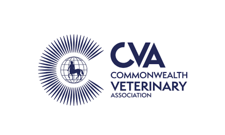 Supporting vets in the Commonwealth Image