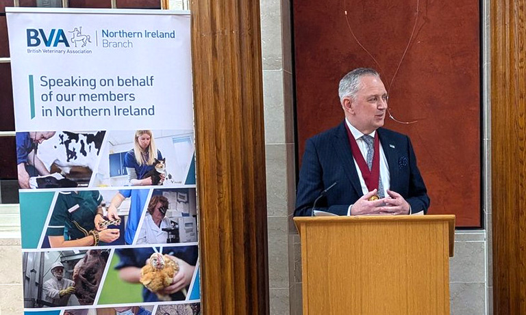 Calls for Northern Ireland vets to unite behind regulatory reform as Competition watchdog backs regulation of practices   Image